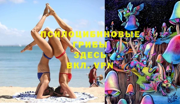 ГАЛЛЮЦИНОГЕННЫЕ ГРИБЫ Баксан